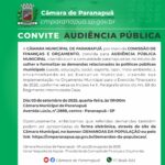 audiencia cm paranapua